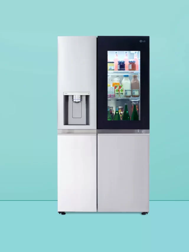 Top 10 Most Expensive Refrigerators of All Time